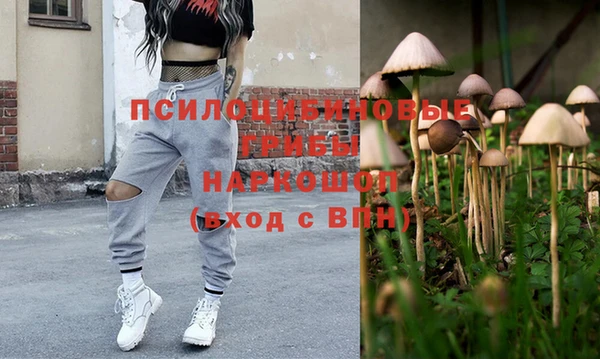 ешки Горняк