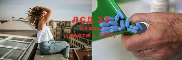 spice Горнозаводск