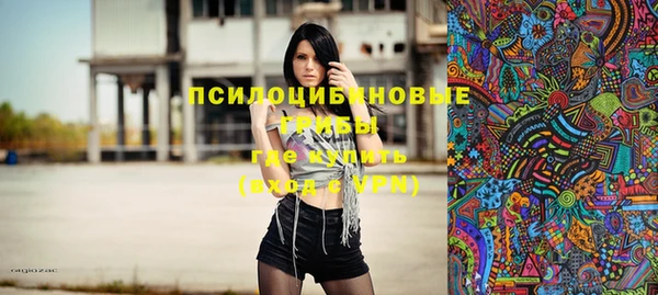spice Горнозаводск