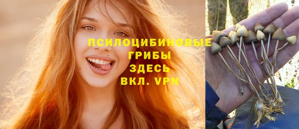 молекула духа Горно-Алтайск