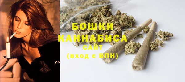 молекула духа Горно-Алтайск