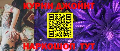 сатива Бийск
