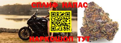 сатива Берёзовский