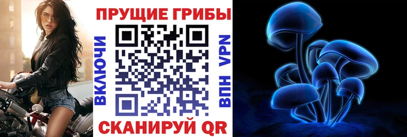 Галлюциногенные грибы прущие грибы  блэк спрут рабочий сайт  Грозный 