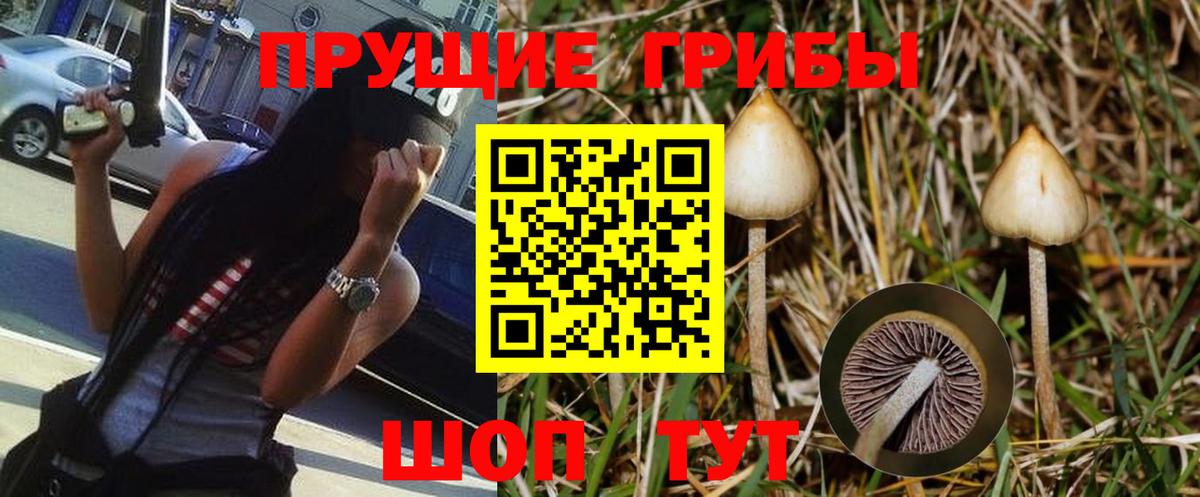 Псилоцибиновые грибы MAGIC MUSHROOMS  Грозный 