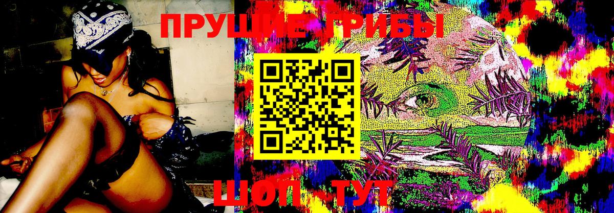 Псилоцибиновые грибы GOLDEN TEACHER  Вход с VPN  Грозный  Галлюциногенные грибы ЛСД 