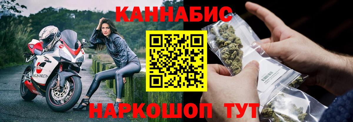Канабис ГИДРОПОН  Грозный  Каннабис White Widow 